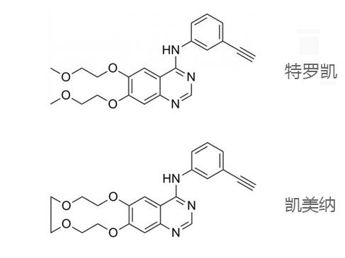 特罗凯.jpg