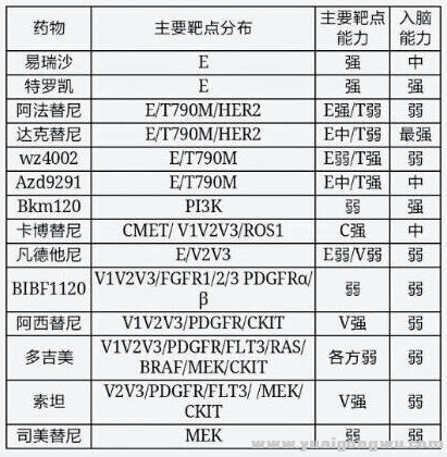 靶点图