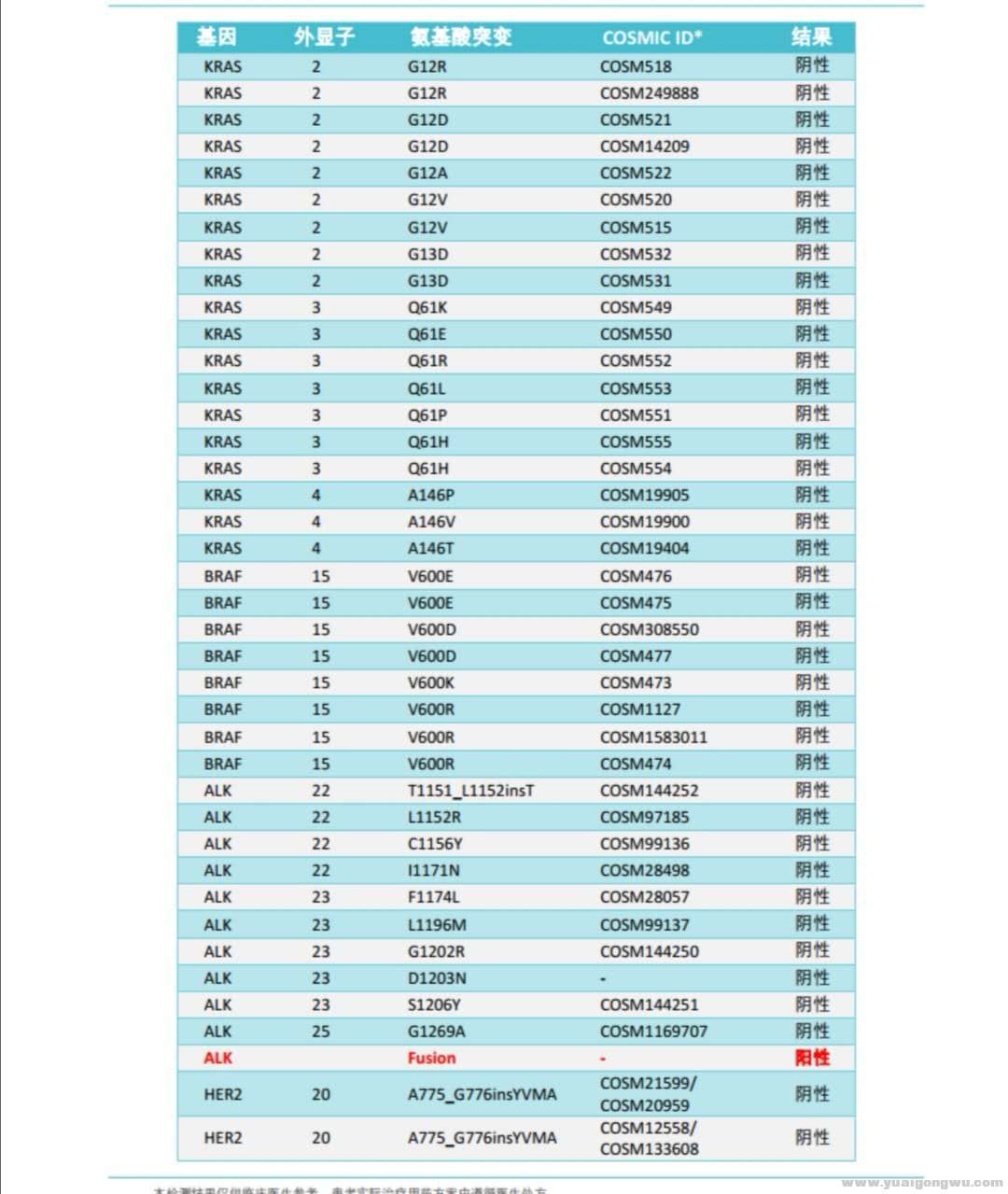 基因检测结果2