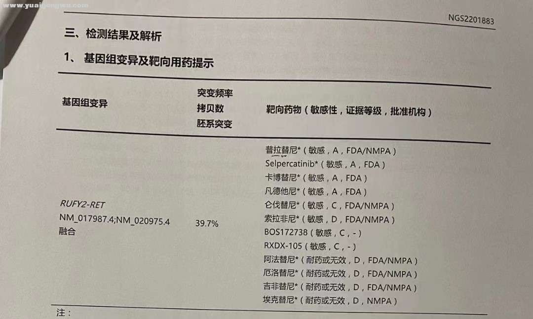 Cici的基因检测结果